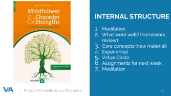 Mindfulness and Character Strengths book